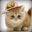Mr. Whiskers