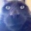oleshka_pro