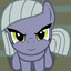 Grey Horse Enthusiast