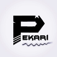 -hunter16 Steam avatar