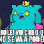 Estafado002