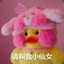 孙大侠