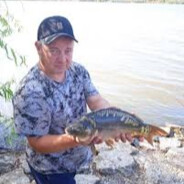 ToлuĸбeToʜoɜaлив