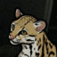Ocelot's avatar