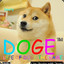 GamerDoge