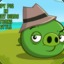 the green pig spy
