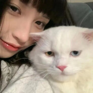 可可爱爱单纯女孩