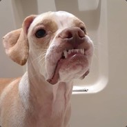 YttapDgoD