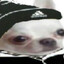 yung dead