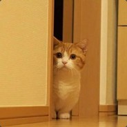 其实我是拒绝的