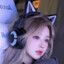 msdfq