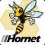 Hornet ptS.