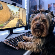 danysion Steam avatar