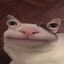 bob