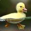 duckky luckky