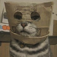 守身如玉吕子乔