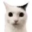 simon.'s avatar