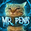 Mr. Penis