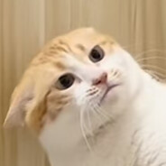 下路一直叫我去,我怎么去啊?别人一直进我野区