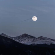 喜欢吃生香蕉的菠萝头