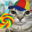 How unpregnant cat