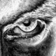 Master Chimken - steam id 76561197965512670