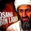Bin Laden Cousin