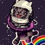 SpaceCAT