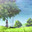 buylo avatar