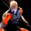 Gray Fox