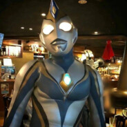 我看见海棠花未眠