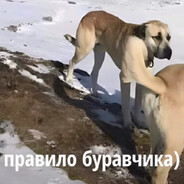 aXyluEjik