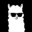 LhamaOnGlasses
