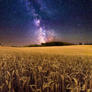 倾国倾城又有何用