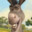 Donkey