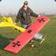 wing-walker