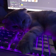 pil9ine - steam id 76561198795772976