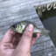 BoisterousBluegill987