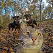 САНЯ ГИПСОКАРТОН