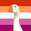 Goose (Real)
