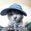 kitty