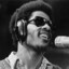 Stevie Wonder