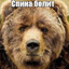 Спина болит