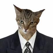 小猫扶老奶奶闯红灯