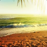 euphOria- - steam id 76561197961170902