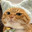 Baxxy's Avatar