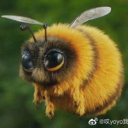 猛踹瘸子那条好腿