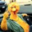 thebigbird1979