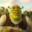 SHREK