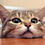kitty^_^
